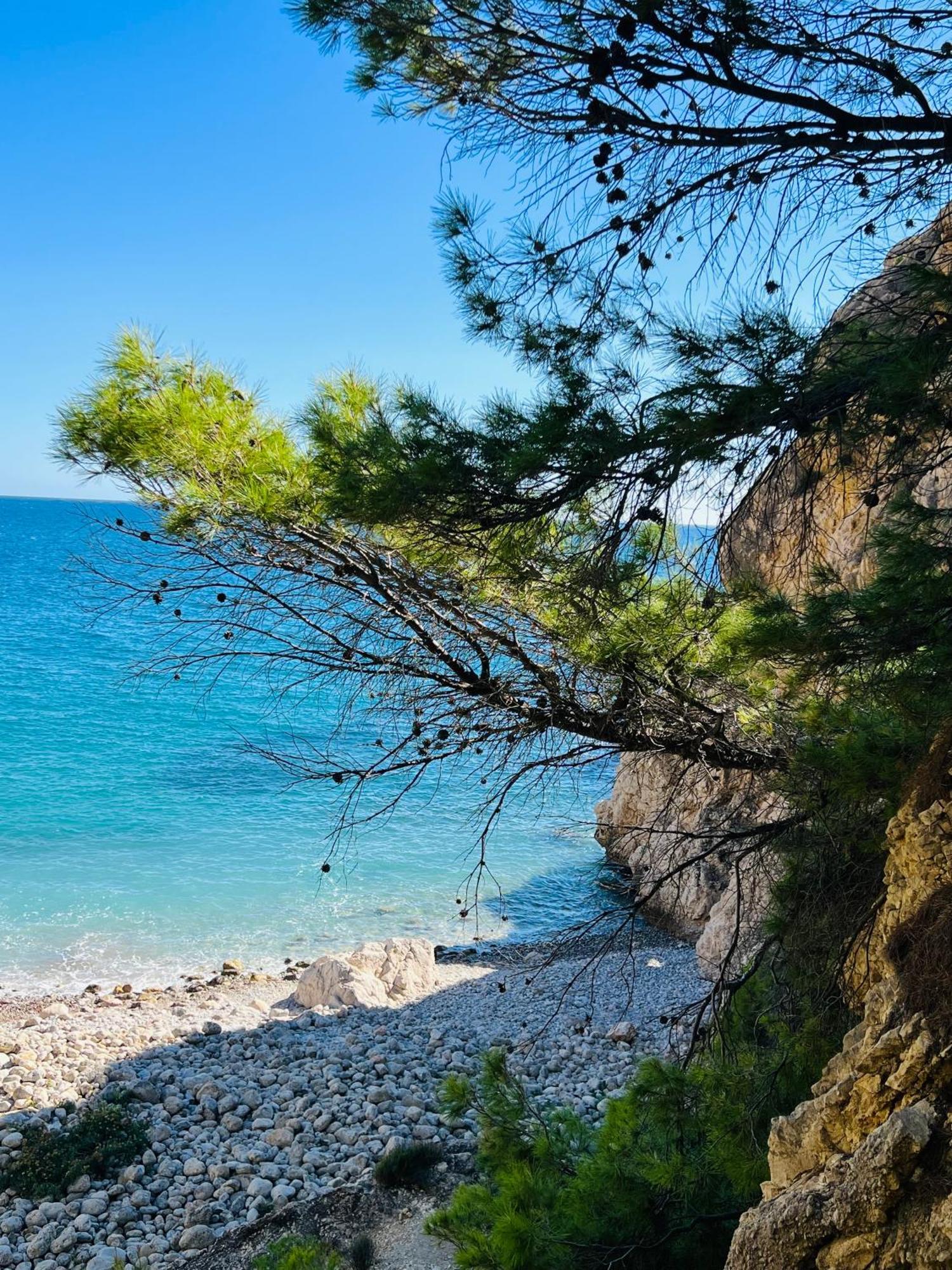 阿利坎特Luxury - Atico En Altea Hills公寓 外观 照片